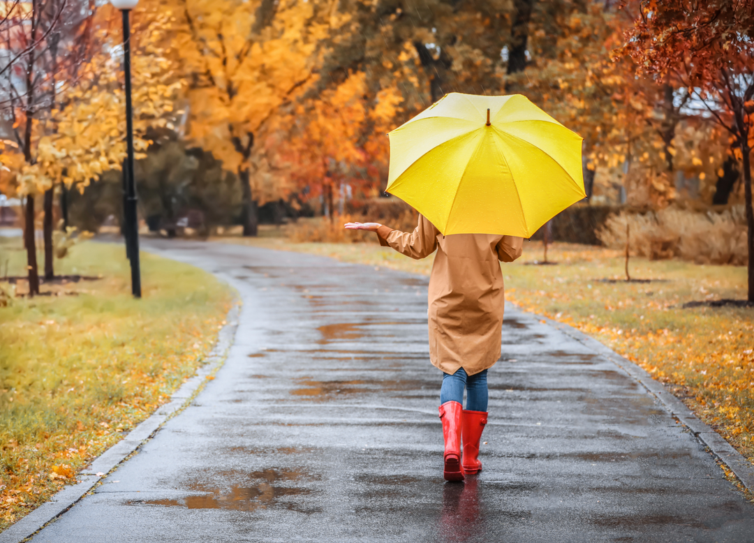 A Comprehensive Review of the Mini Capsule Umbrella