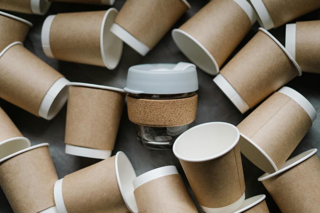 Top Eco Friendly Corporate Gifts: Green Solutions for Business Gifting
