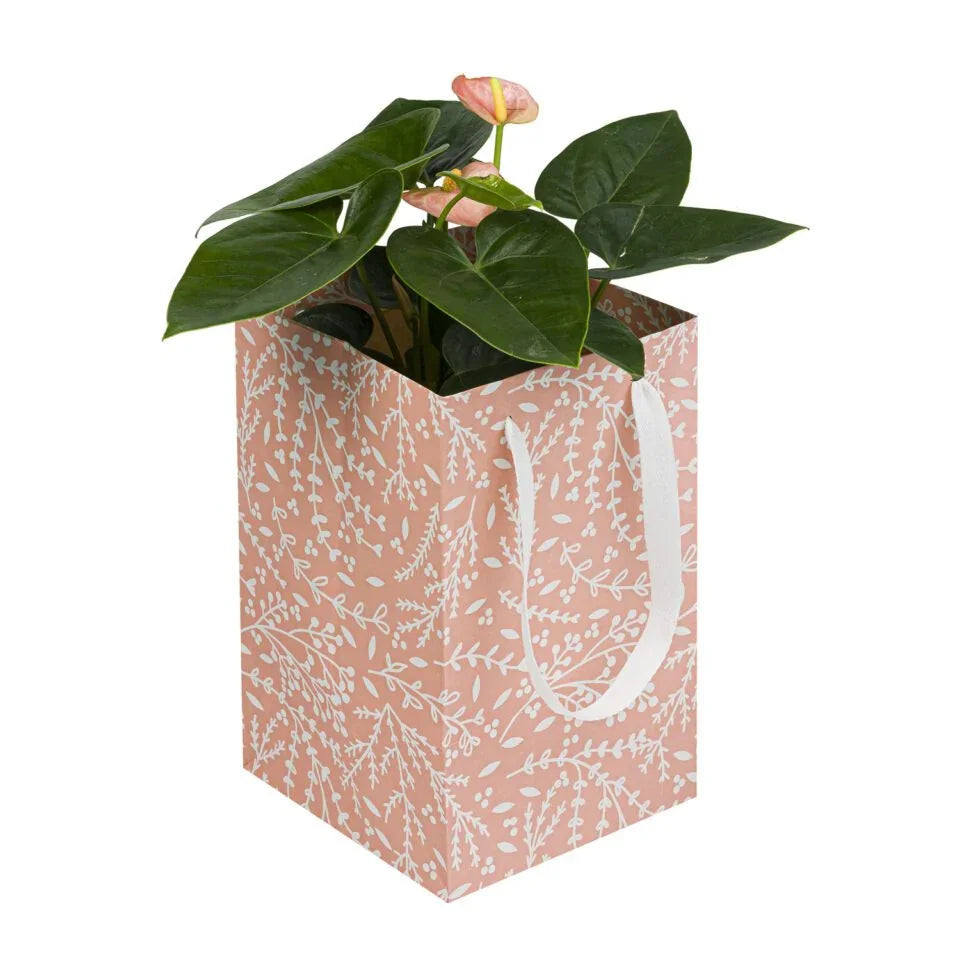Pot Plant Carrier Bag