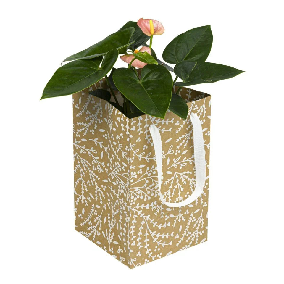 Pot Plant Carrier Bag
