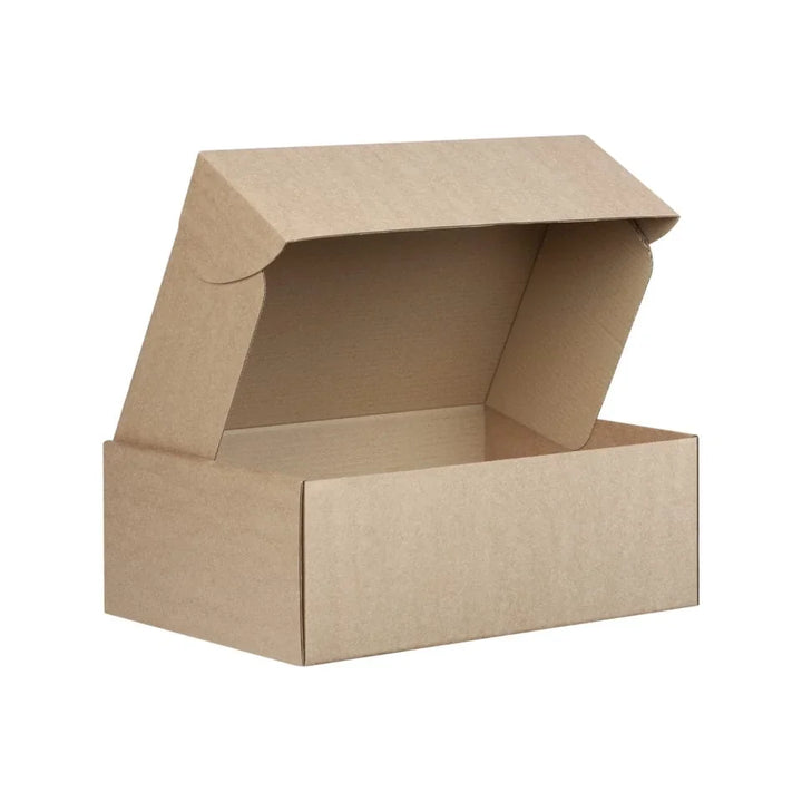 Econo Large Shipping Box