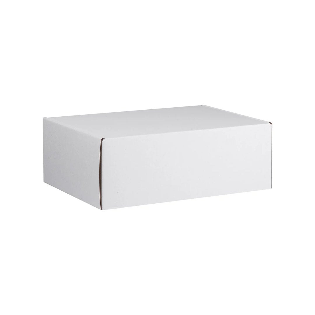 Econo Large Shipping Box