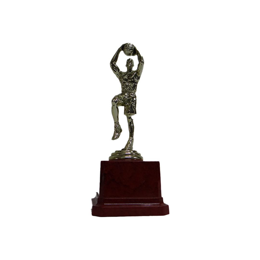 Grip Net Ball - Volley Ball - Basket Ball Trophy | Standard