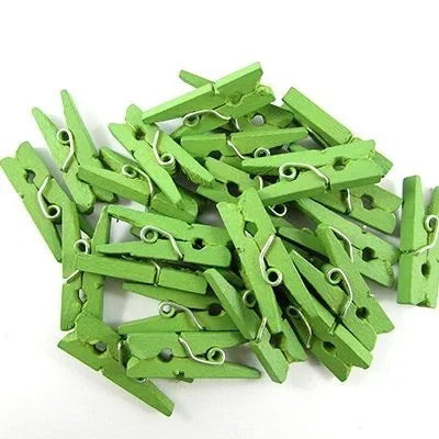 Mini Wooden Pegs