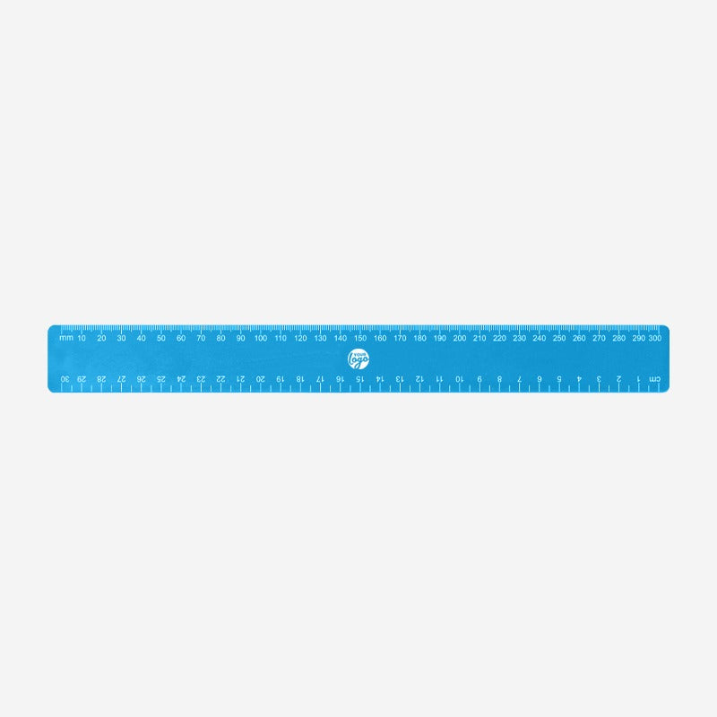 Budget Ruler 30cm – Lumoss