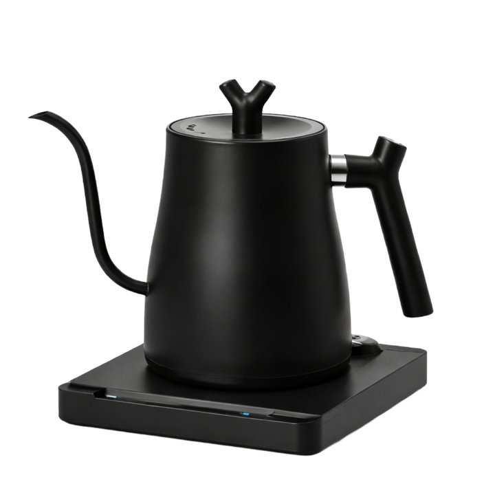 Electric Gooseneck Kettle