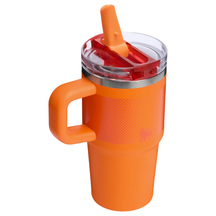 Stanley Quencher® ProTour Flip Straw Tumbler | 0.59L
