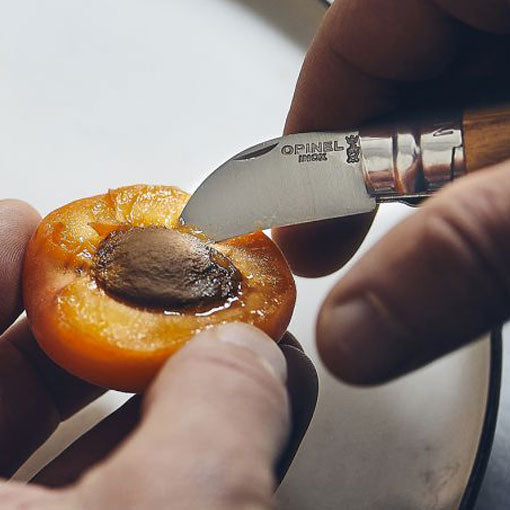 Opinel No 7 Chestnut Garlic & Fruit Pitting Knife
